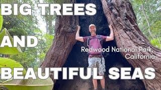 Northern California! (Part 2) - Redwood National Park