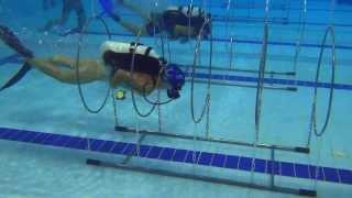 CMAS GAMES-2013 SPORT DIVING /short version/