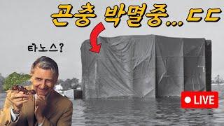 이 세계적인 곤충학자는 왜 섬의 곤충들을 모조리 죽였을까?(섬 리셋 작전)