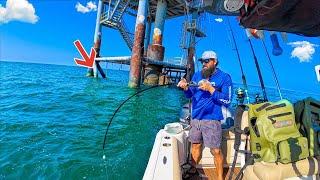 Fishing a Live Pinfish Under THIS Rig In the GULF For DINNER!