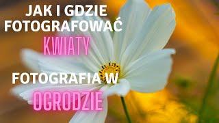 jak i gdzie fotografować kwiaty - fotografia w ogrodzie