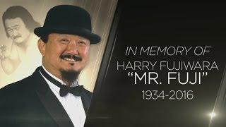 A special look at Mr. Fuji's legendary career