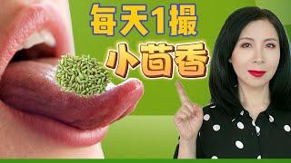 每天一撮小茴香，10种疾病远离你！