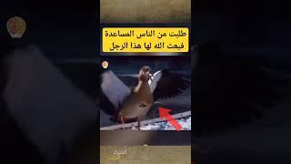 طلبت من الناس المساعدة فبعث الله لها هذا الرجل - معلومة لعقلك #shorts