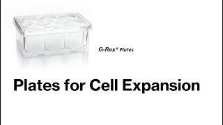 Cell Expansion Plates