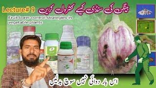 Effective Chemical Control Methods for Brinjal Shoot and Fruit Borer. Arshad Ali