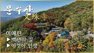 [울산여행] 문수산 문수사  / 백년의 길_이애란 / 이것이 인생_이애란 / Ulsan Korea / 221027