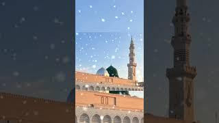 Namaz e aqsa me jab padhaai#shortvideo#quran#subscribemychannel#viralvideo#islamicvideo