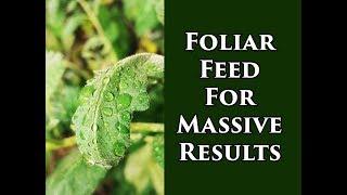 Foliar Feeding Vegetable Plants For Insane Yields (2018)