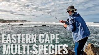 Light Tackle Fishing Rocky Gullies on the South African Coast! (Cracker, Steenbrass and Blacktail)