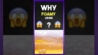 Why " Foamy " Urine ?