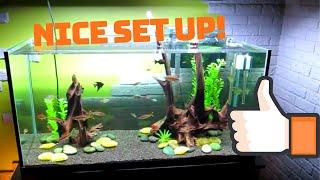 90 Gallon Fish Tank: Good Fish Selection