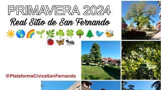 PRIMAVERA 2024 Real Sitio de San Fernando