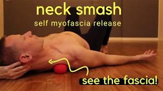 Fascia, Levator Scapula, Neck & Shoulder Smash: Self Myofascia Release