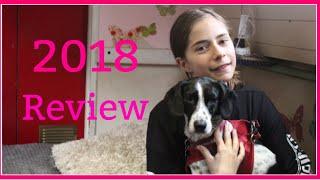 Family living on a narrowboat - 2018 Review