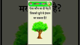 Top 20 GK Question| GK in Hindi | GK Question and Answer #brgkstudy​ #gkinhindi​ #gk​ Part - 505