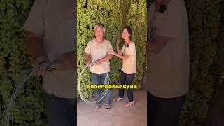 #新疆特产 #吐鲁番葡萄干 #优质农产品 #乡村守护人
