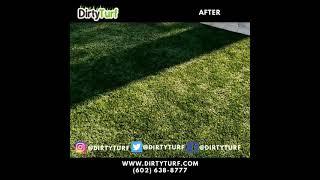 Turf Cleaning 400 sqft by Dirty Turf Anthem Arizona