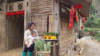 Harvesting pineapples, growing tops around the house | Ly Tieu Mai