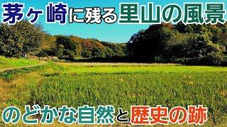 【茅ヶ崎】湘南の街に残された自然と歴史の跡に出逢う！