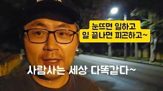 어쩌다호주생활 일찍일어나는 새가 일찍 퇴근합니다