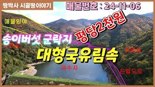 (24.11. 06) 대형 저수지를 접하고 200만평 이상 국유림에 둘러싸인 송이버섯 수확 가능한 임야!