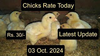 03 Oct. Chicks Rate Update Today