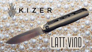 This Kizer Is A Steal! #knives #edc #kizerknives