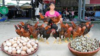 Harvesting Chicken (Rooster) And A Lot Of Eggs Goes To Market Sell - Phuong Free Bushcraft