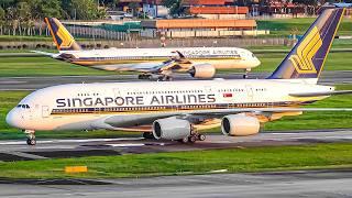 30 MINS of Plane Watching at Singapore Changi Airport 