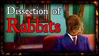 David Lynch's 'Rabbits' (2002) - The Anatomy of Fear