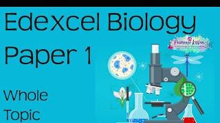 The whole of Edexcel Biology Paper 1 | Revision for 9-1 GCSE Bio Combined Science