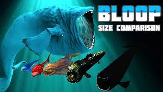 The Evolution and Size Comparison of The Bloop