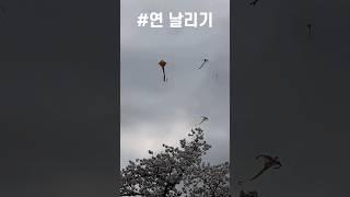 #한스튜브#경주에서연날리기#첨성대