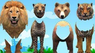 Animals Wrong Heads 3D Animation Cartoons For Kids || Wild Animals Finger Family Nursery R