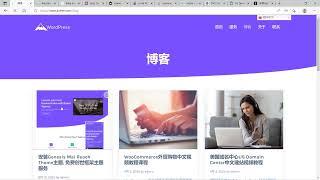 Mai Reach主题, Mai Reach主题实例, 最佳商业WordPress主题建站教程下载 (免费视频)