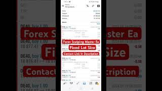 Forex Scalping Master Ea Fixed Lot Hedging Scalping Strategy #hedgingstrategy #forextrading