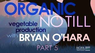 Organic No-Till Vegetable Production with Bryan O'Hara: Part 5 of 5 | Winter Production