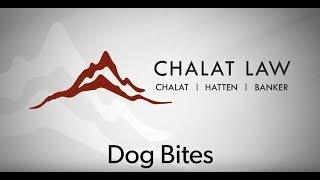 Dog Bite Lawyer Chalat Law Video