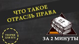 Что такое отрасль права