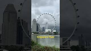 Beautiful Singapore Flyer#singapore #tallest  #flyer #shorts #singaporeflyer