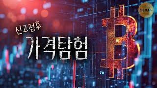 비트코인 9만달러 찍고 자리잡나... 도지 부서에 일론머스크와 라마스와미 임명ㅊ