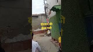 वृंदावन की कुंज गली । Vrindavan ki Kunj Gali | @CHAUPAALGURU