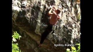 31 System Training