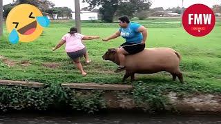 Funny & Hilarious People's Life  #168 - Try not to Laugh | Best Funny Videos 2024