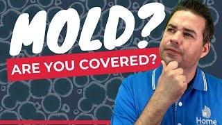 The Truth about Home Warranties and Mold Coverage