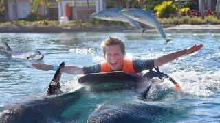 I Played and Swam with Dolphins!