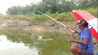 Fishing | Amazing fishing | Catching rohu fishes