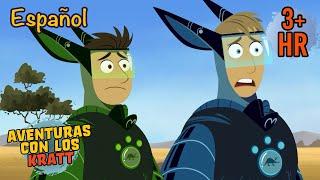 PROTEJE LOS ANIMALES | Día de la Tierra | Aventuras con los Kratt | 9 Story Kids en Español