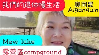 《加拿大自駕遊》Canada algonquin Mew lake campground奧岡昆露營環境真是沒話說太美啦我們的退休慢生活＃ivy88856#ivy家在多倫多#露營＃奧岡昆